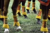 Protezione sulle gambe dei cavalli — Foto stock