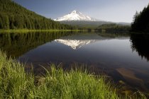 Mountain Reflected In Trillium Lake — Stock Photo