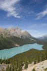 Lac Peyto, parc national Banff — Photo de stock