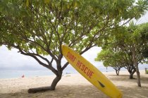 Planche de surf Rescue surf sur le sable — Photo de stock