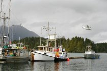 Рибальські човни в гавані — стокове фото