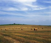 Field Of Hay Bales, Texas — Stock Photo