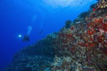 Scuba Diver With A Video Camera — Stock Photo