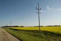Power Lines on green grass — Stock Photo