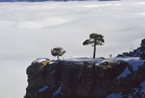 Parque Nacional del Gran Cañón - foto de stock