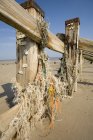 Cerca de madera abandonada en la playa - foto de stock