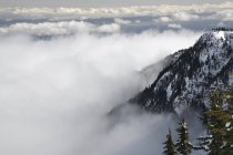 Туман на горе Вашингтон — стоковое фото