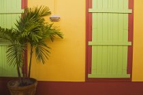 Portes vertes et murs jaunes — Photo de stock