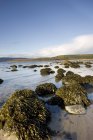 Playa rocosa, Argyll y Bute - foto de stock