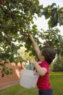 Petit garçon cueillette des pommes — Photo de stock
