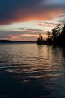 Озеро Вудс і дерев — стокове фото