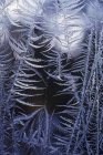 Closeup frost winter pattern on window — Stock Photo