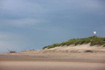 Praia de areia com grama — Fotografia de Stock