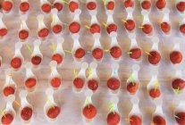 Cerejas marrasquino em colheres em exposição de madeira — Fotografia de Stock