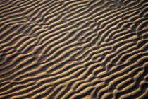 Zanzibar, Tanzanie ; Motifs de sable — Photo de stock