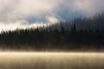 Туманное горное озеро на рассвете — стоковое фото