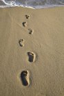 Blick auf Fußabdrücke im Sand — Stockfoto