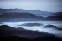 Rolling Hills dans le brouillard — Photo de stock