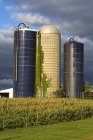 Grain silos in Lyons — Stock Photo