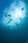 Живописный вид силуэтов аквалангистов, плавающих под водой — стоковое фото