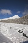 Замерзшая река и гора — стоковое фото