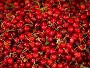 Fresh red Cherries — Stock Photo