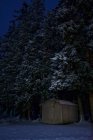 Cabane dans les bois la nuit — Photo de stock