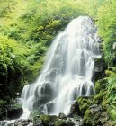 Fairy Falls at Columbia River Gorge — Stock Photo