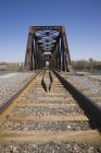 Железнодорожные пути и стальной мост — стоковое фото