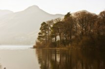 Calm Water With Mountains And Trees — Stock Photo