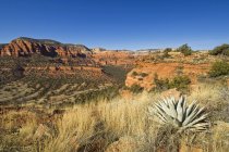 Wüstenlandschaft in sedona, arizona — Stockfoto