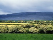 Landscape view of The Burren — Stock Photo