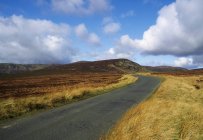 Route rurale à Wicklow Mountain — Photo de stock