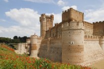 Замок La Mota — стокове фото