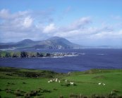 Péninsule d'Inishowen, comté de Donegal — Photo de stock