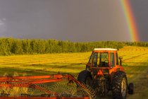 Vista del tractor trabajando en el campo con herramienta y arco iris sobre el bosque sobre fondo - foto de stock