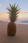 Abacaxi cru fresco que põe na praia arenosa contra a água turva — Fotografia de Stock