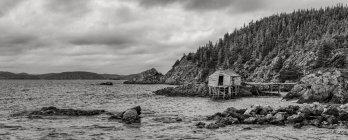 Black and white picture of wavy water of sea nd small house on shore against hill with trees — Stock Photo