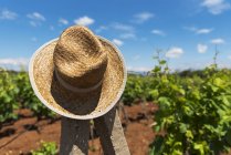 A Straw Hat Hanging On A Wooden Post In A Vineyard; Medjugorje, Bosnia And Herzegovina — Stock Photo