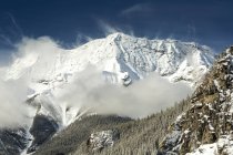 Schneebedeckter Berg mit Nebel und schneebedeckten Bäumen mit blauem Himmel; alberta, Kanada — Stockfoto