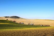 Colheita de uma colheita em campos contra um céu azul; Washington, Estados Unidos da América — Fotografia de Stock