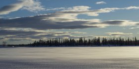 Schneebedecktes Feld mit der Silhouette eines Waldes in der Ferne; Arjeplog, Kreis Norrbotten, Schweden — Stockfoto