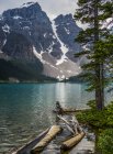 Lago d'acqua a piedi di montagna durante il giorno e legni alla deriva sulla riva — Foto stock