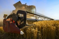 Ein Mähdrescher erntet Getreide in der Palouse-Region von Eastern Washington; Washington, Vereinigte Staaten von Amerika — Stockfoto