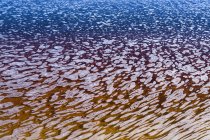 Вид песчаного берега и воды моря над ним в дневное время — стоковое фото