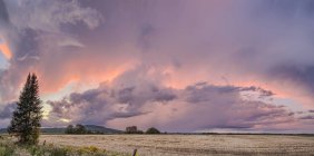 Drammatico bagliore rosa nelle nuvole di tempesta su un campo al tramonto; Thunder Bay, Ontario, Canada — Foto stock