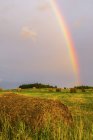 Vista del arco iris sobre el campo de hierba verde rural con pilas de heno durante el día - foto de stock