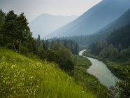 View of river water surrounded by mountains slopes and trees on shores during daytime — Stock Photo