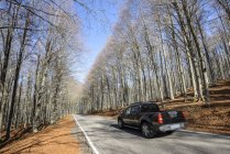 View of road and moving car with trees on sides during daytime — Stock Photo