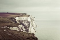 Rocky cliff with grass over sea water during daytime — Stock Photo